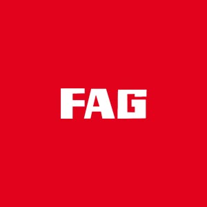 德國(guó)FAG/INA軸承